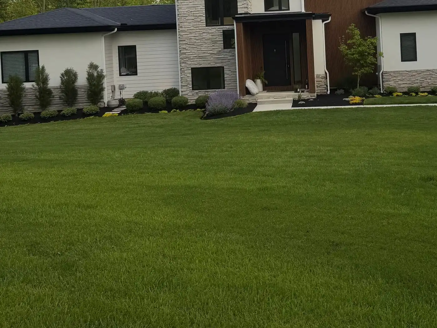 Foundation planting beds along a modern home with columnar evergreens, clipped boxwood, flowering perennials, dark mulch, and a crisp cut bed edge