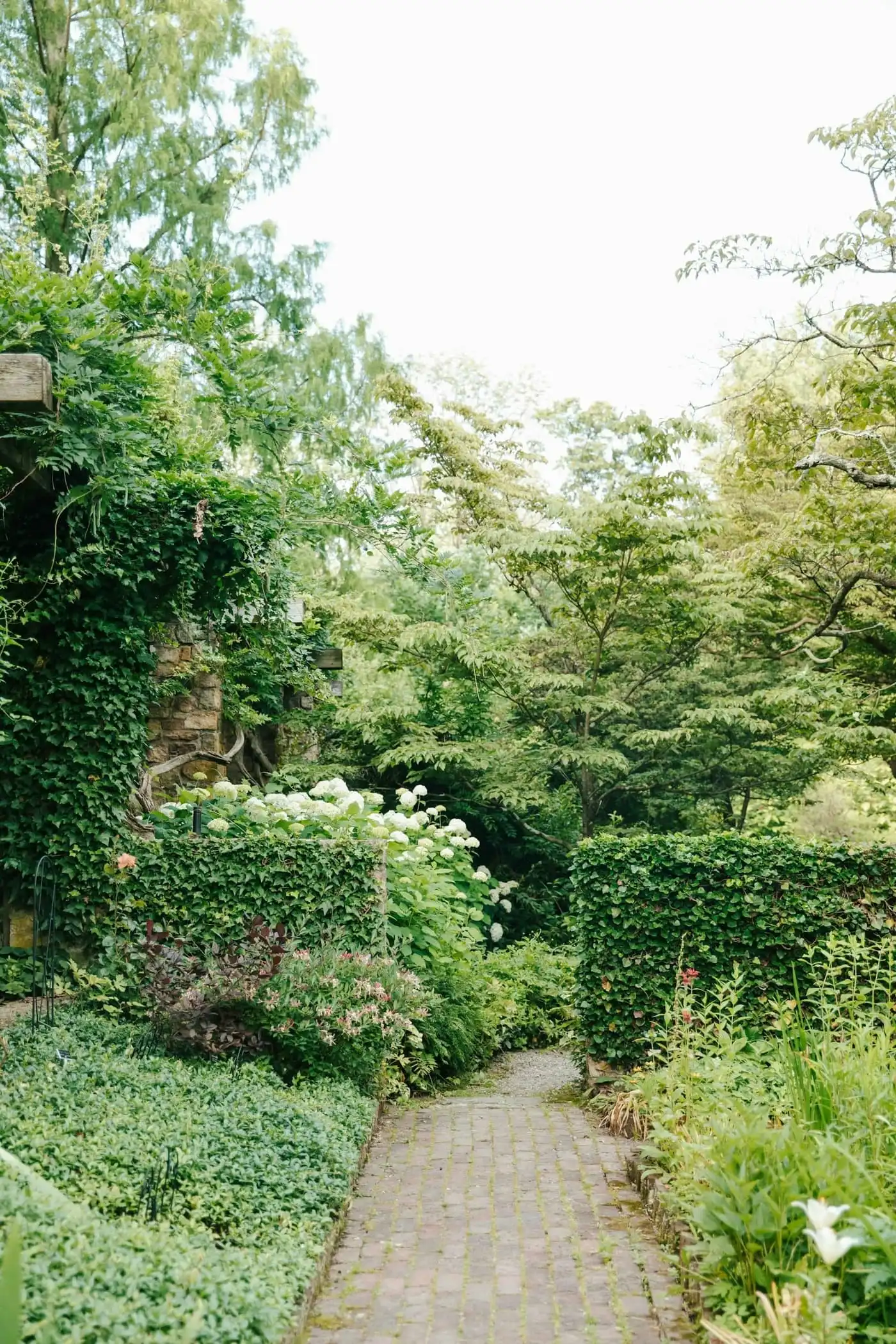 Curving walkway running through a cottage-style garden