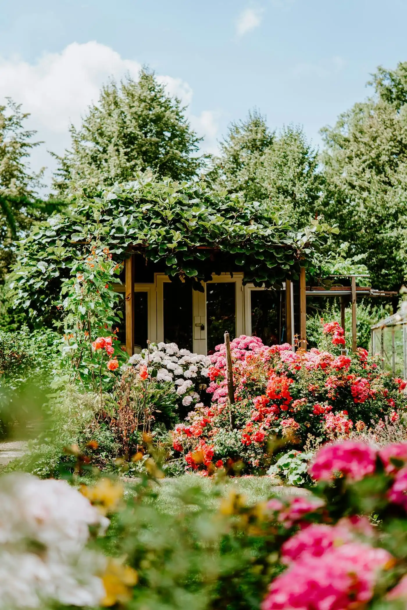 Cottage garden with mixed perennial planting