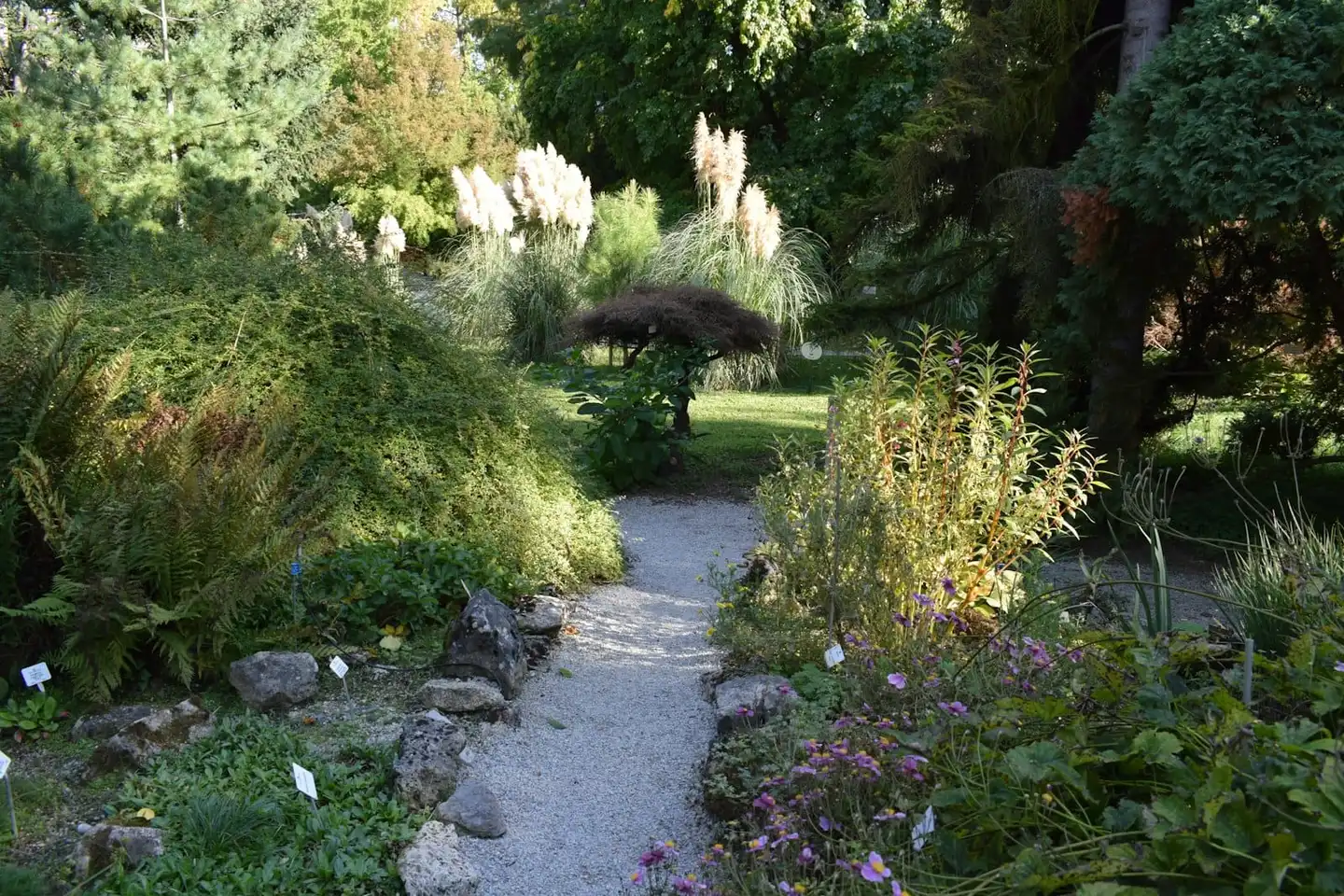 Curved paver garden path running between planted borders