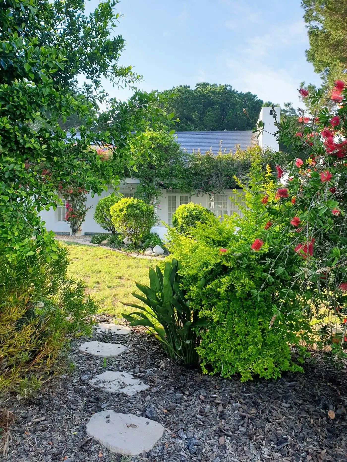 Wide view of a maintained garden and lawn