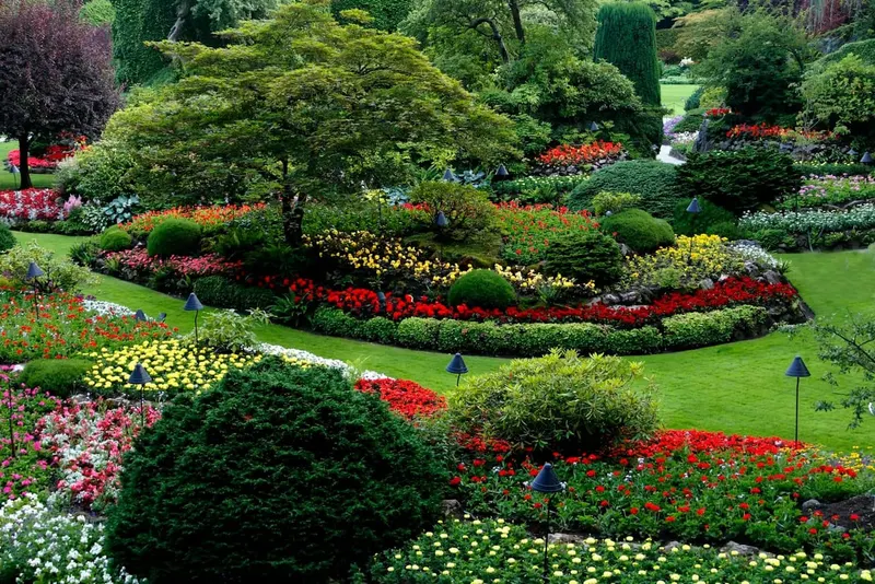 Outdoor Design
