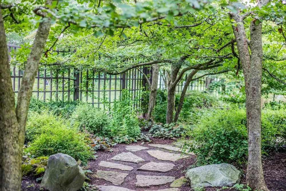 Stepping stones set into a lawn with planted edges